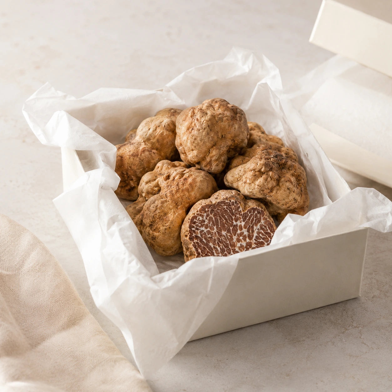 Truffe Bianchetto – Tuber borchii