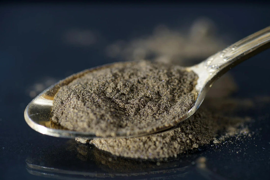 black truffle powder