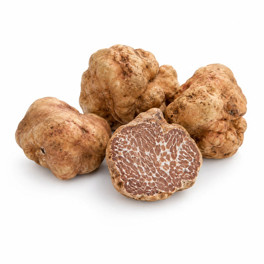 Bianchetto-tryffeli – Tuber borchii